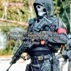 Meet your Posher, Noel